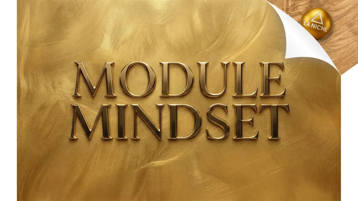 MODULE MINDSET